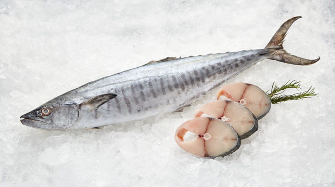 Frozen King Fish
