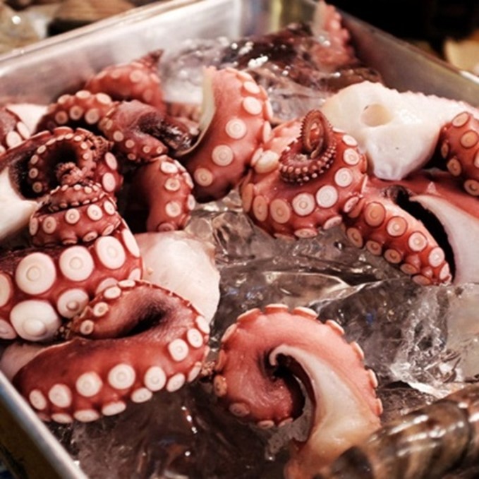 Frozen Octopus
