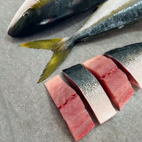 Frozen Yellowtail